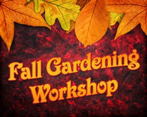 Fall Workshop Logo